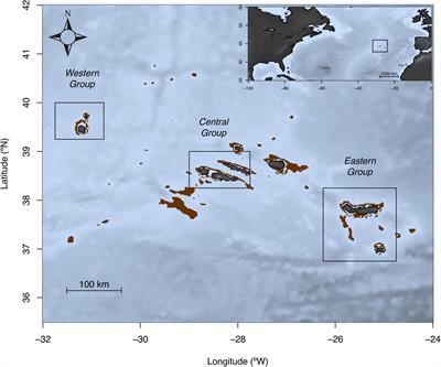 Temperature-Driven Growth Variation in a Deep-Sea Fish: The Case of Pagellus bogaraveo (Brünnich, 1768) in the Azores Archipelago